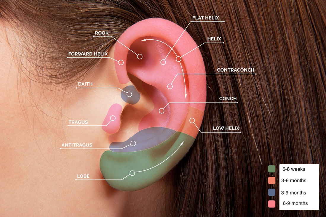 A Complete Guide to Cartilage Piercings