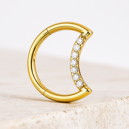 Dina - Titanium Moon Daith/ Septum Segment Ring