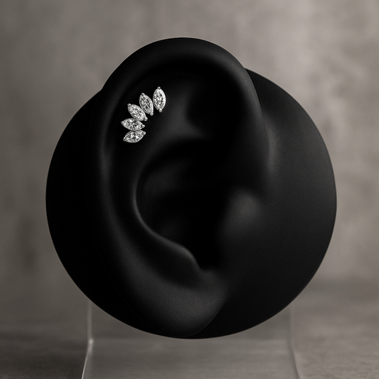 Mia - Titanium Marquise Curved Stud