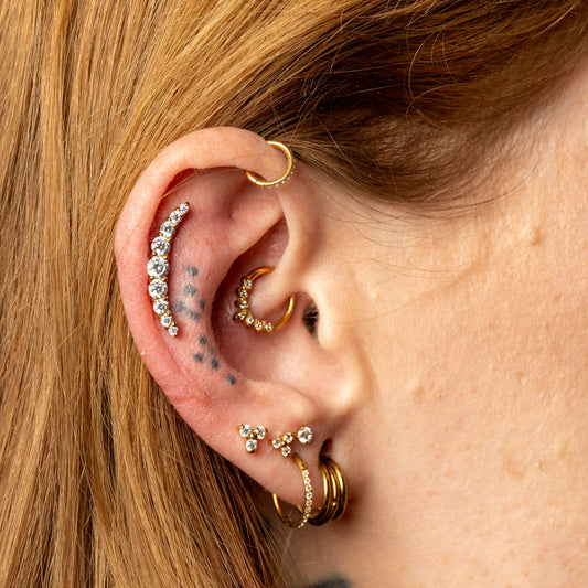 Close-up of an ear with multiple gold and silver earrings against a blurred background