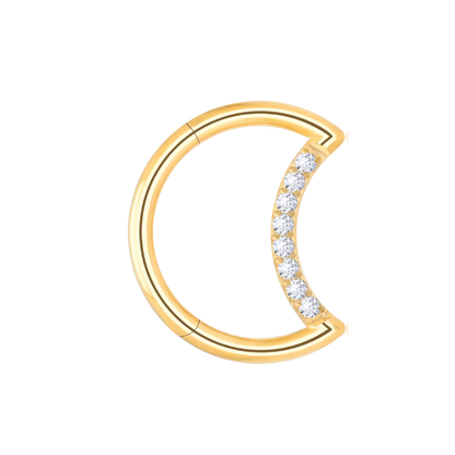 Dina - Titanium Moon Daith/ Septum Segment Ring