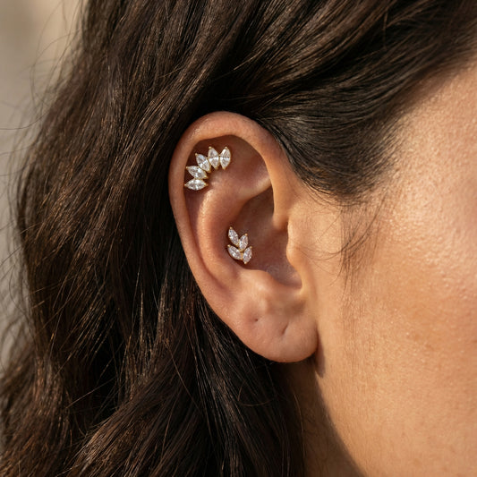 Mia - Titanium Marquise Curved Stud