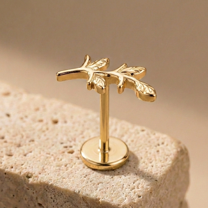 Samara - Titanium Vine Stud – hypoallergenic piercing jewellery by Cura