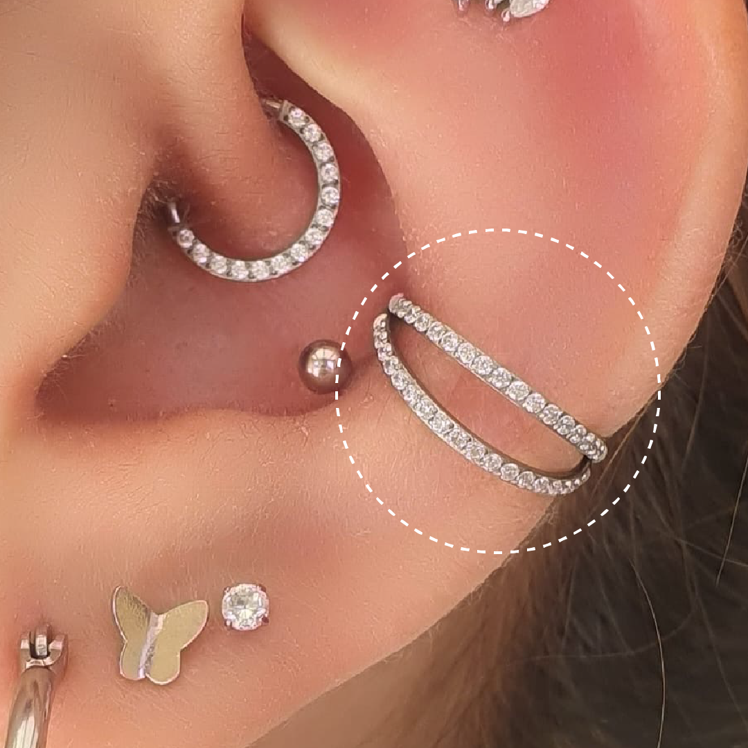 Segment Rig Titanium Double Layer Paved Segment Ring | Cura - Piercing Jewellery