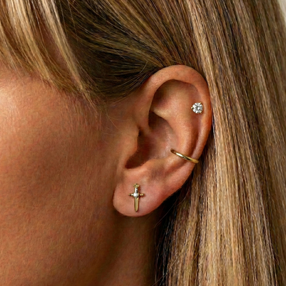 Lana - Plain Titanium Segment Ring